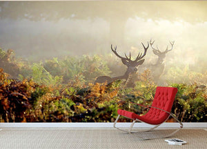 Large red deer stag in mist Wall Mural Wallpaper - Canvas Art Rocks - 2