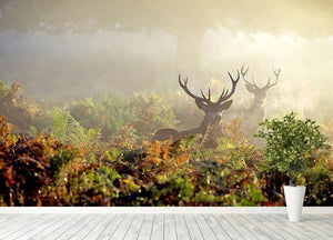 Large red deer stag in mist Wall Mural Wallpaper - Canvas Art Rocks - 4