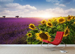 Lavender and sunflowers fields Wall Mural Wallpaper - Canvas Art Rocks - 2