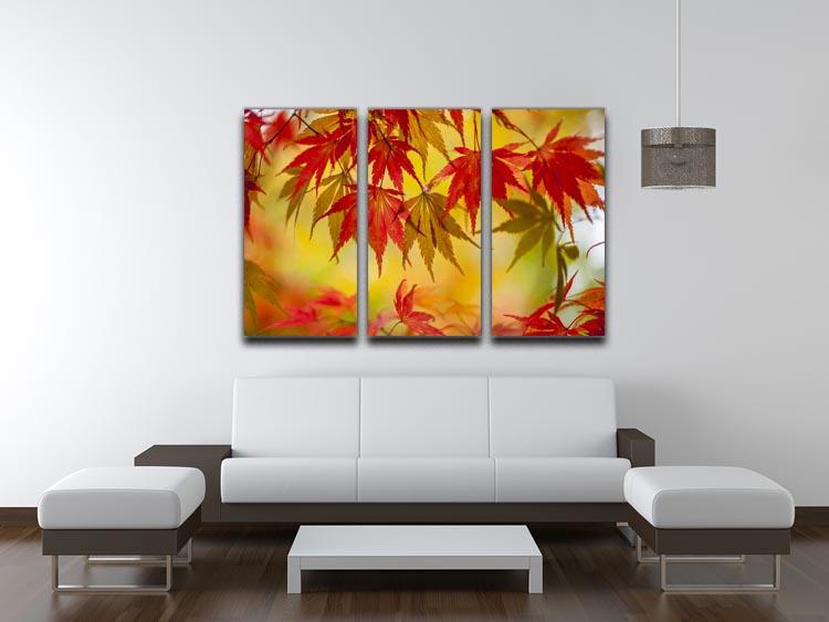 Leaf Patterns 3 Split Panel Canvas Print - Canvas Art Rocks - 3