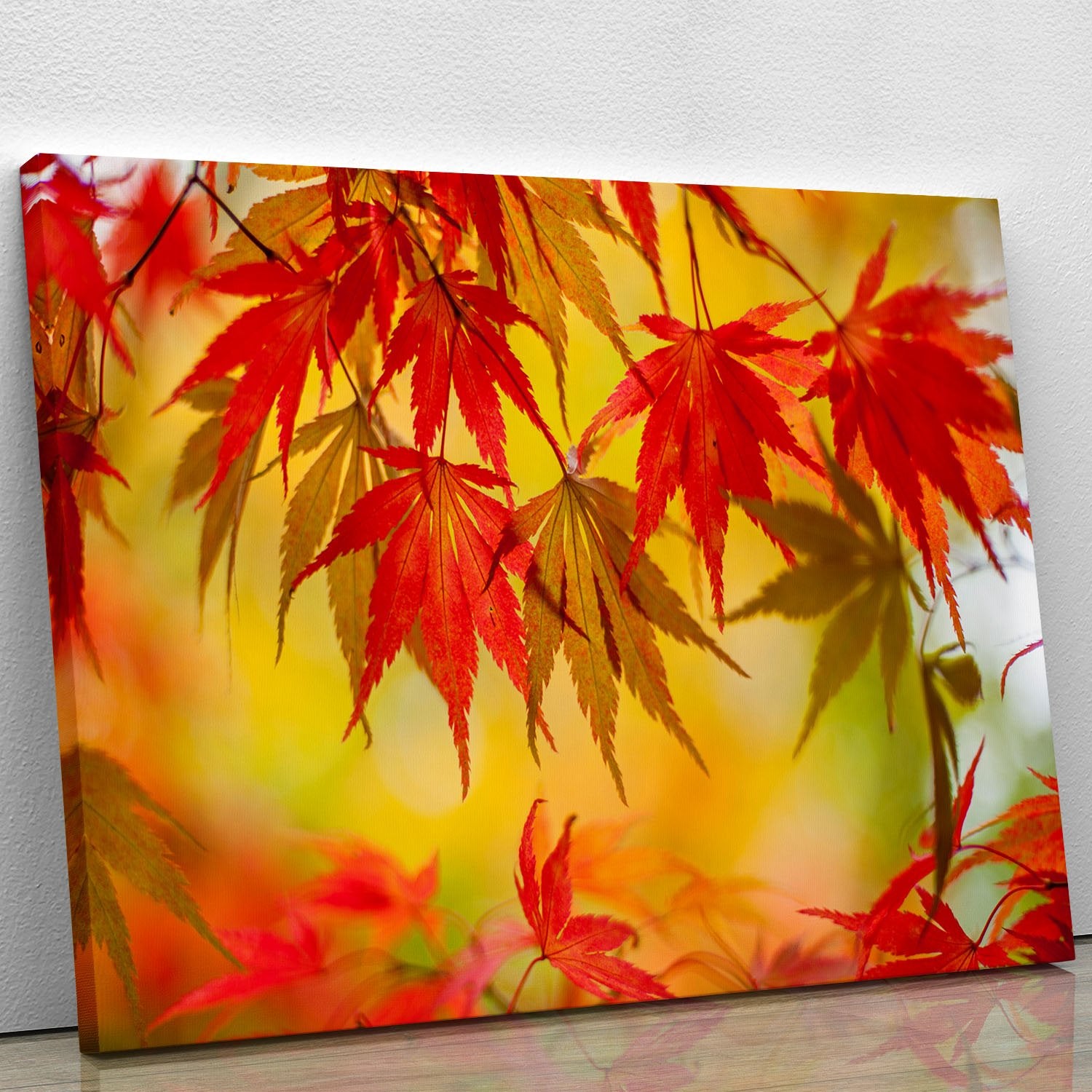 Leaf Patterns Canvas Print or Poster