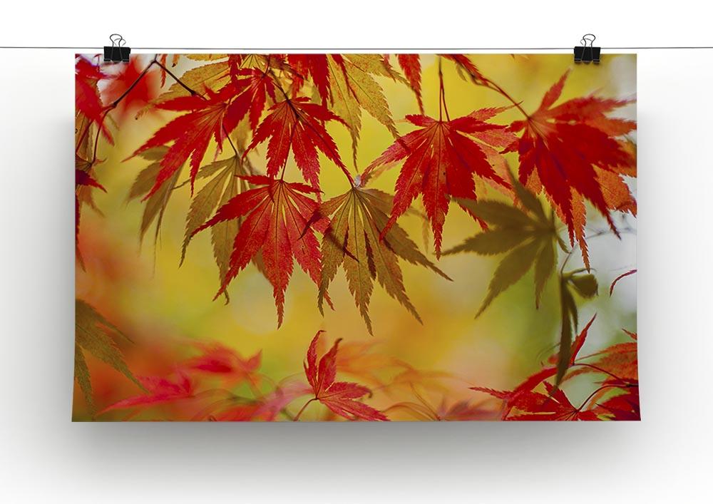 Leaf Patterns Canvas Print or Poster - Canvas Art Rocks - 2