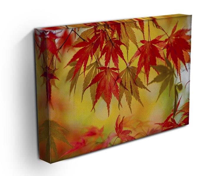 Leaf Patterns Canvas Print or Poster - Canvas Art Rocks - 3
