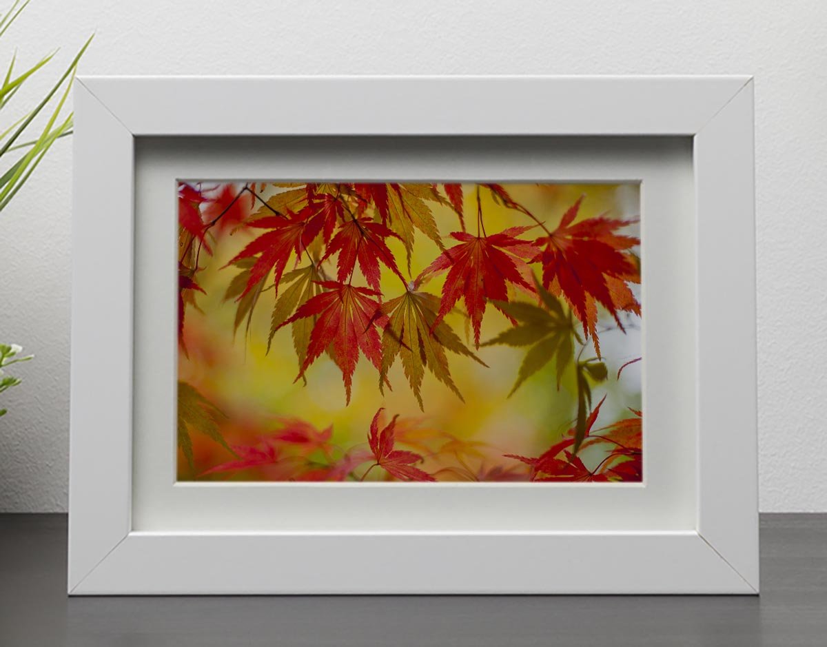 Leaf Patterns Framed Print - Canvas Art Rocks - 3