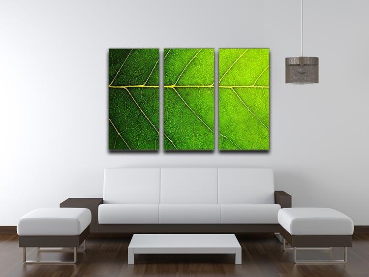 Leaf macro shot 3 Split Panel Canvas Print - Canvas Art Rocks - 3
