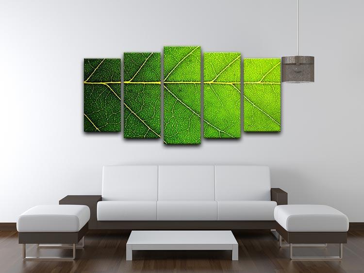 Leaf macro shot 5 Split Panel Canvas  - Canvas Art Rocks - 3