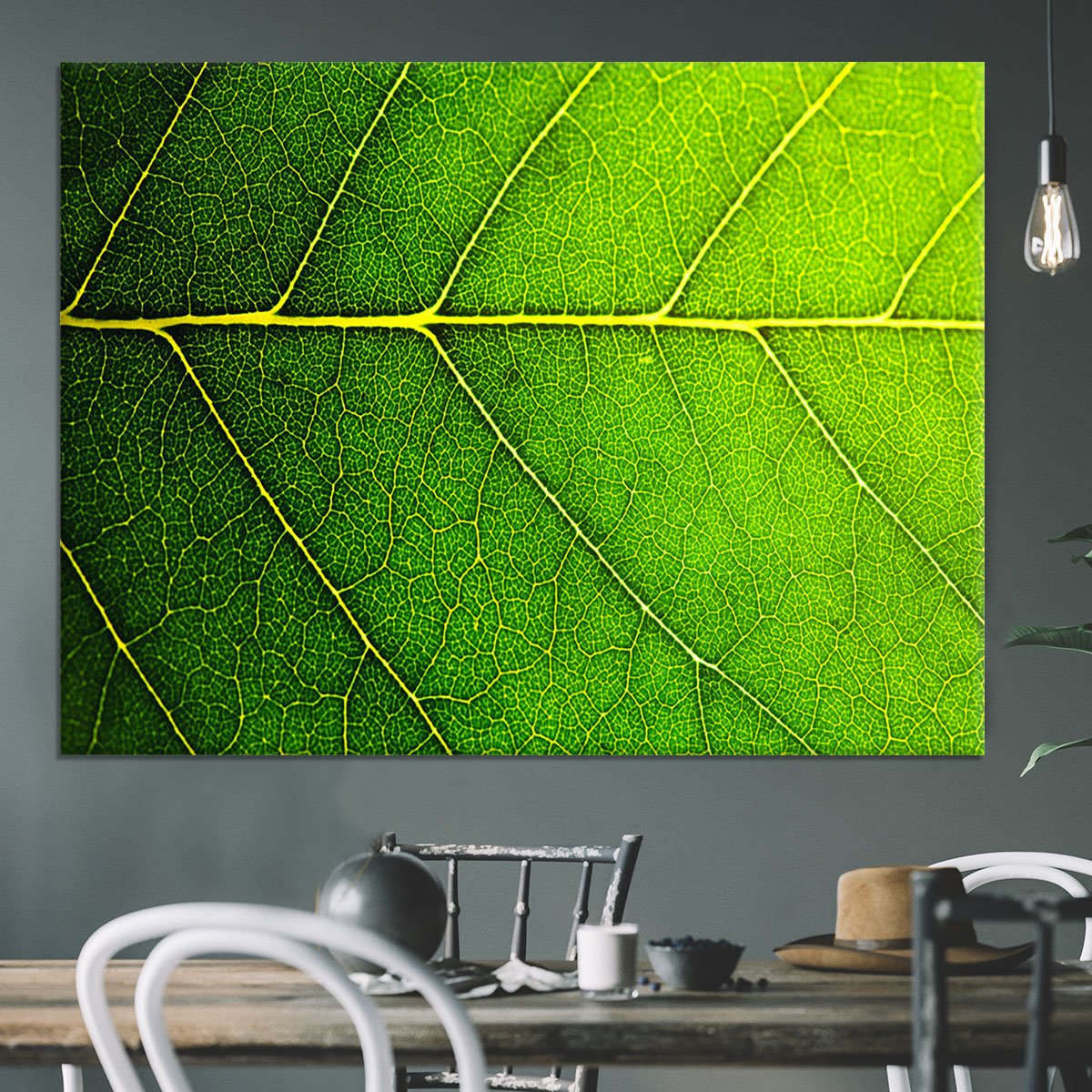 Leaf macro shot Canvas Print or Poster