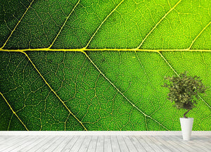 Leaf macro shot Wall Mural Wallpaper - Canvas Art Rocks - 4