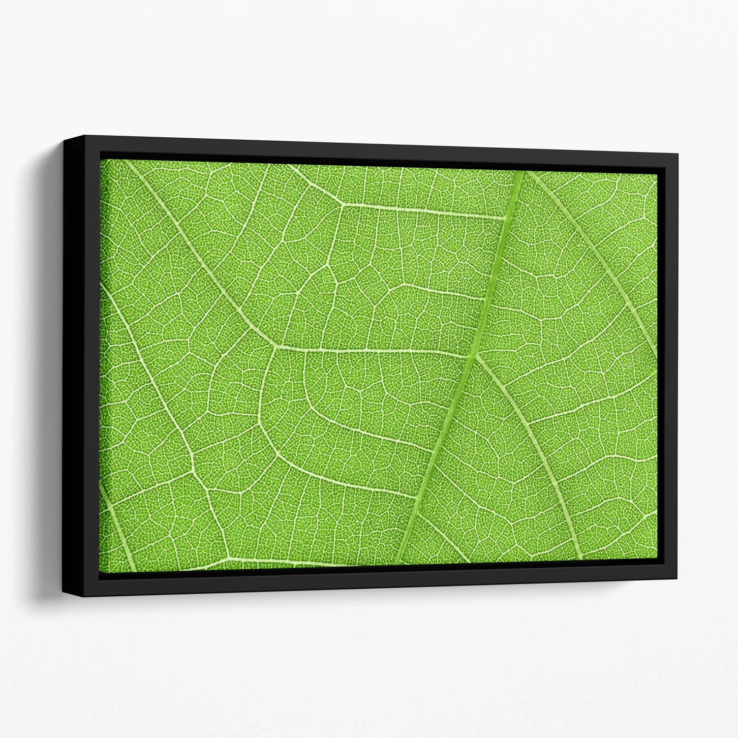 Leaf texture Floating Framed Canvas