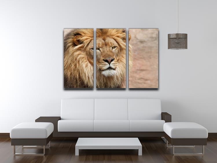 Lion 3 Split Panel Canvas Print - Canvas Art Rocks - 3