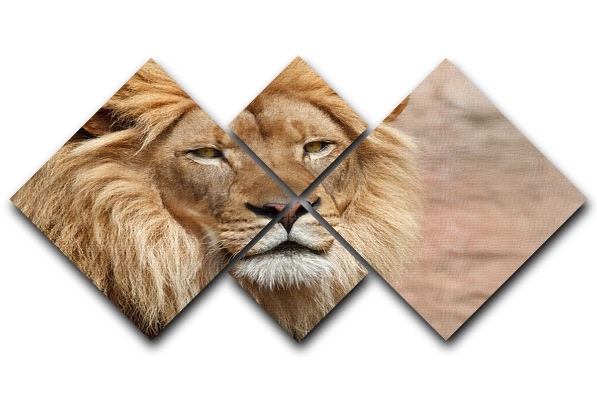 Lion 4 Square Multi Panel Canvas - Canvas Art Rocks - 1