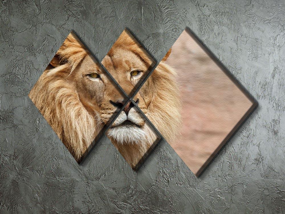 Lion 4 Square Multi Panel Canvas - Canvas Art Rocks - 2