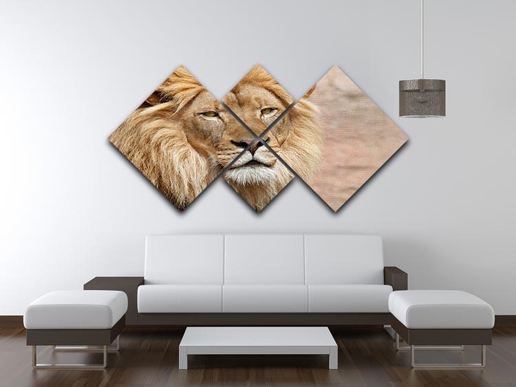 Lion 4 Square Multi Panel Canvas - Canvas Art Rocks - 3