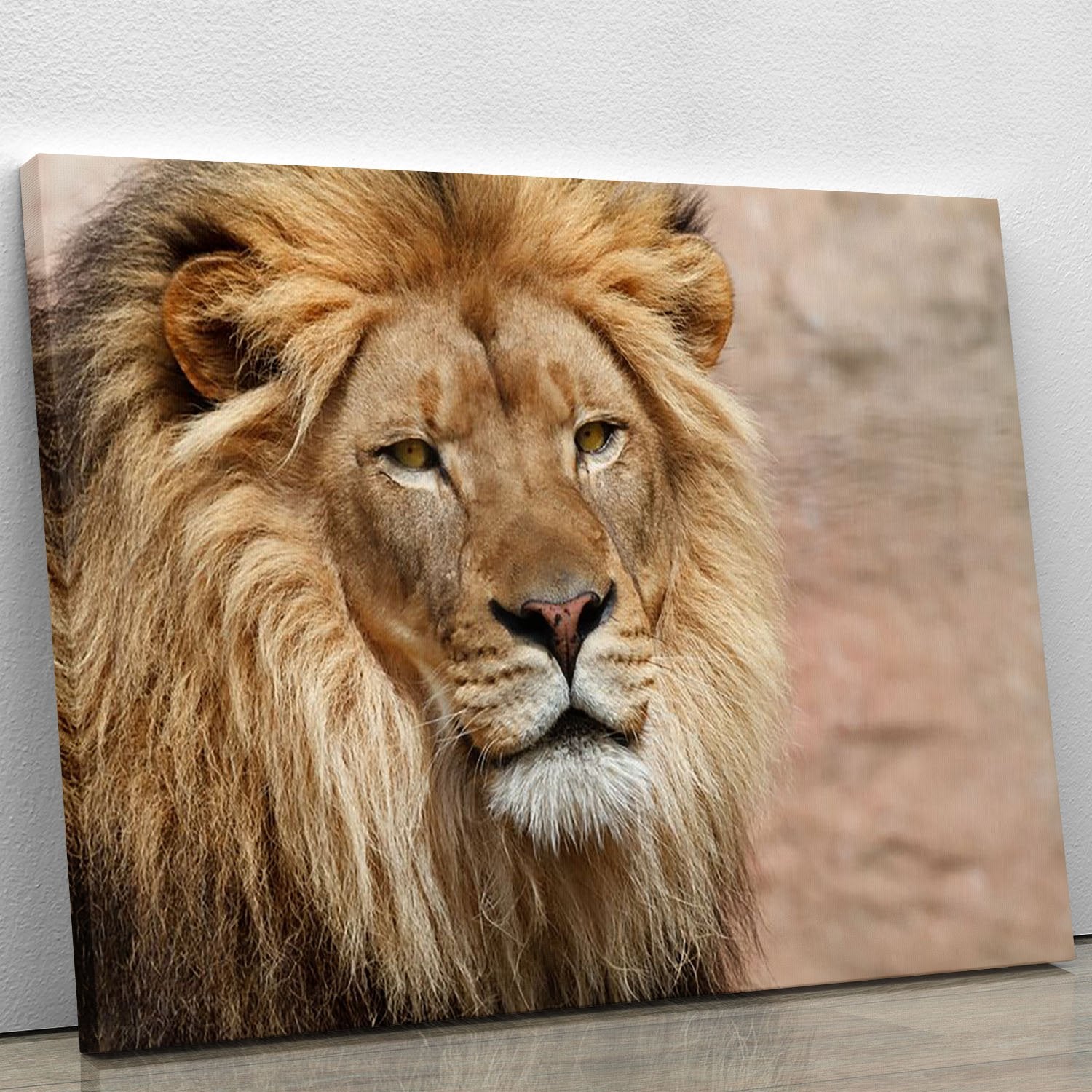 Lion Canvas Print or Poster