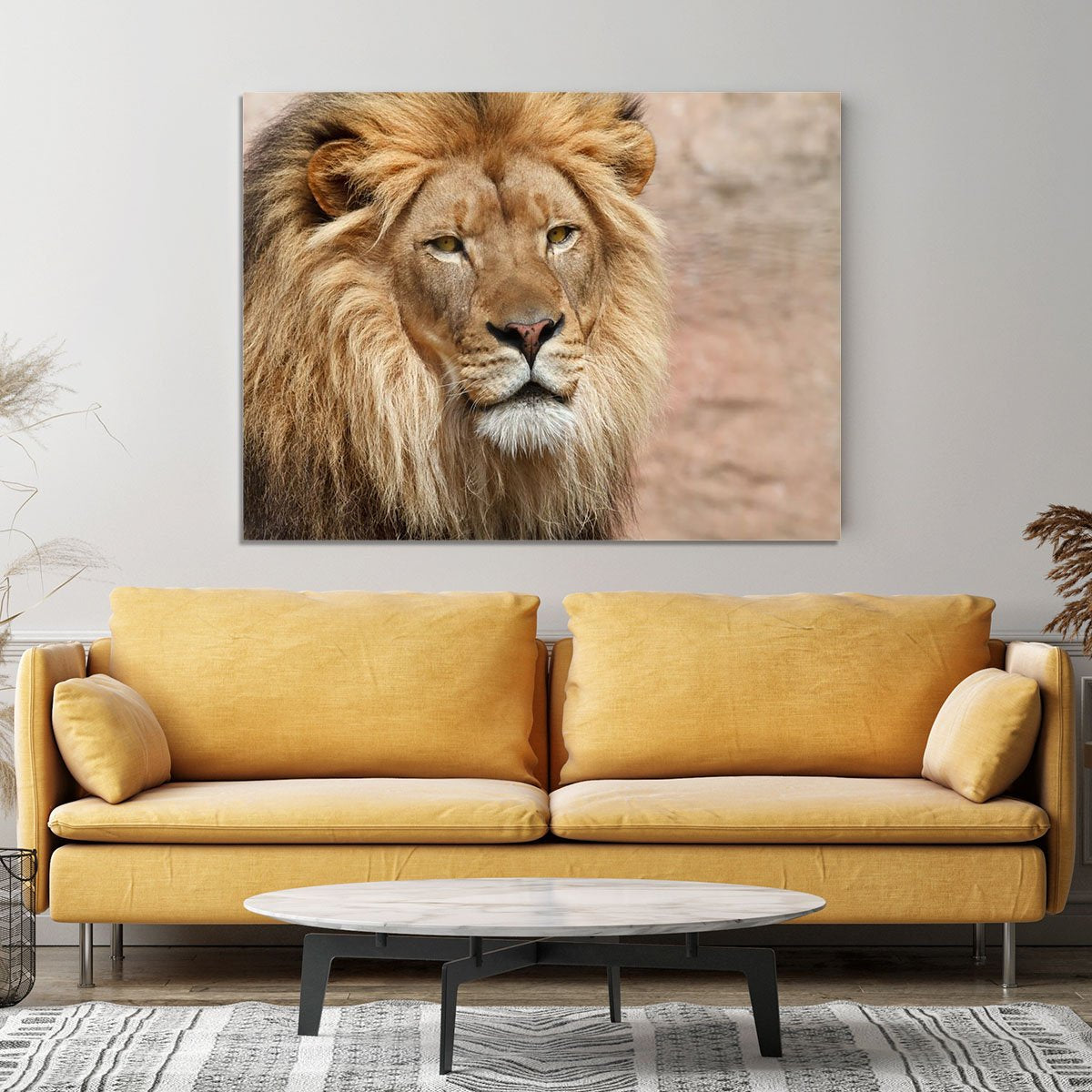 Lion Canvas Print or Poster