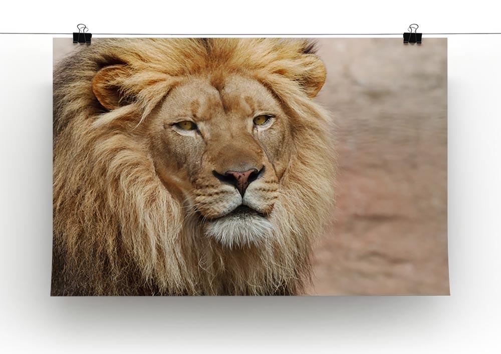 Lion Canvas Print or Poster - Canvas Art Rocks - 2