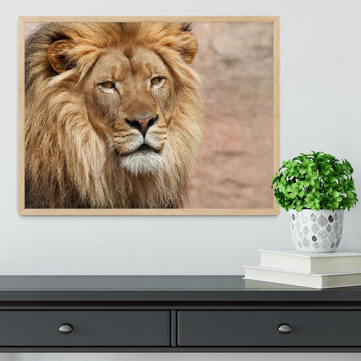 Lion Framed Print - Canvas Art Rocks - 4