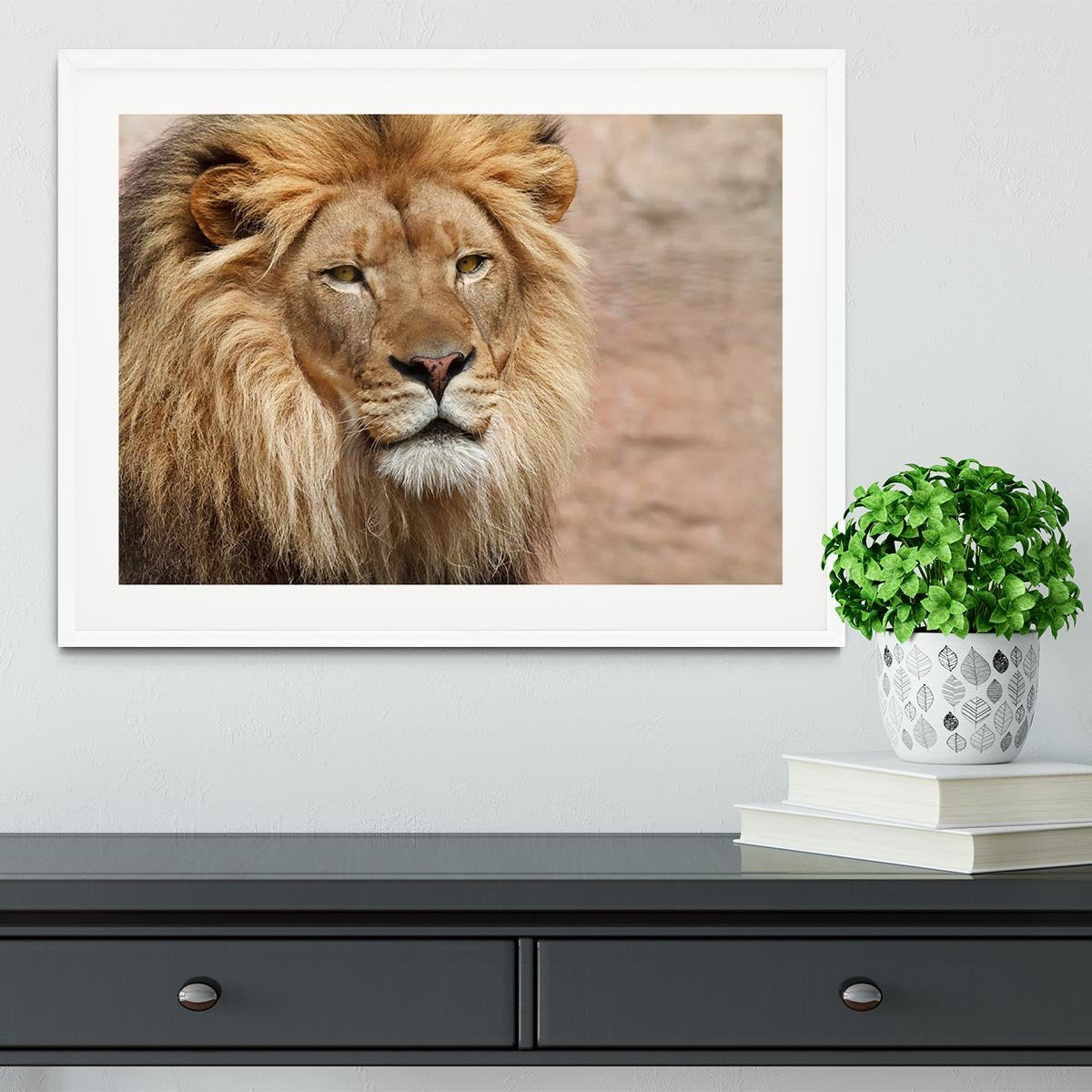 Lion Framed Print - Canvas Art Rocks - 5