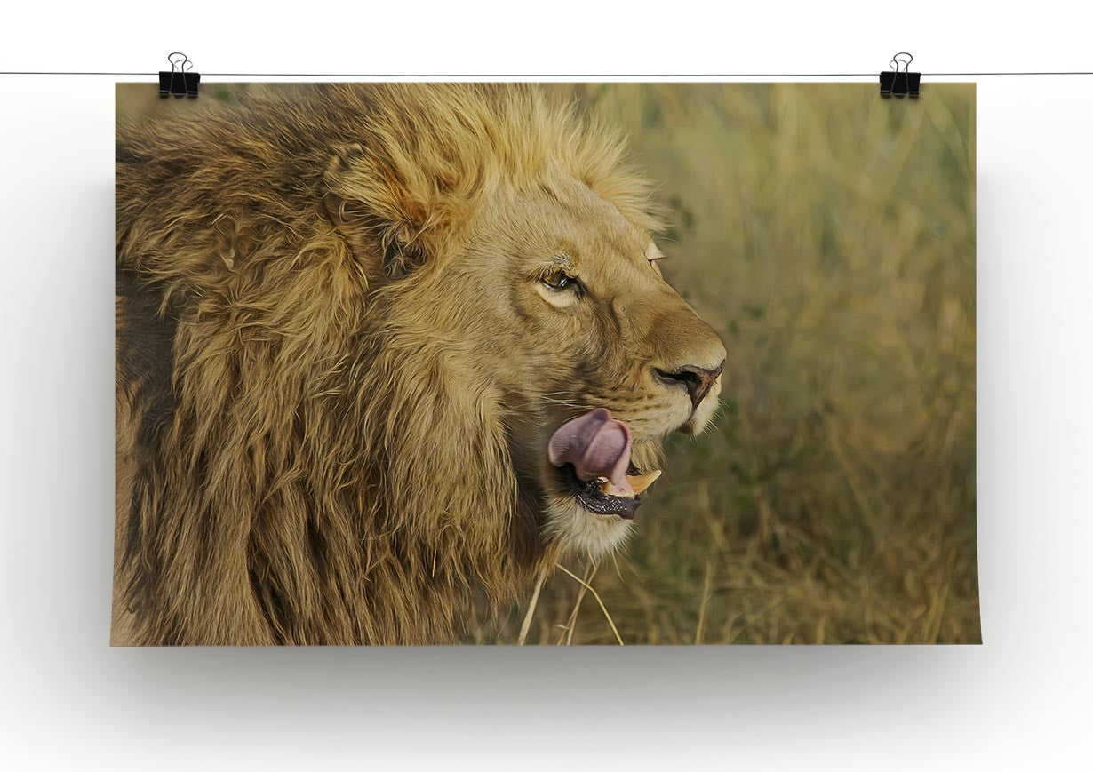 Lion Head Print - Canvas Art Rocks - 2