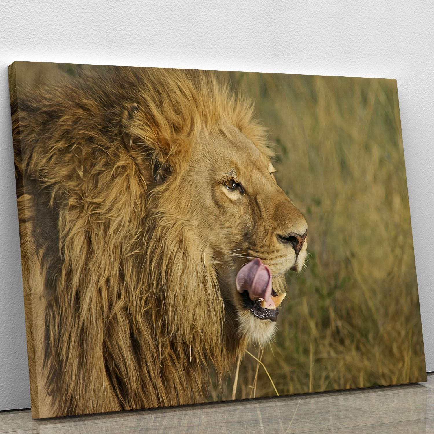 Lion Head Canvas Print or Poster