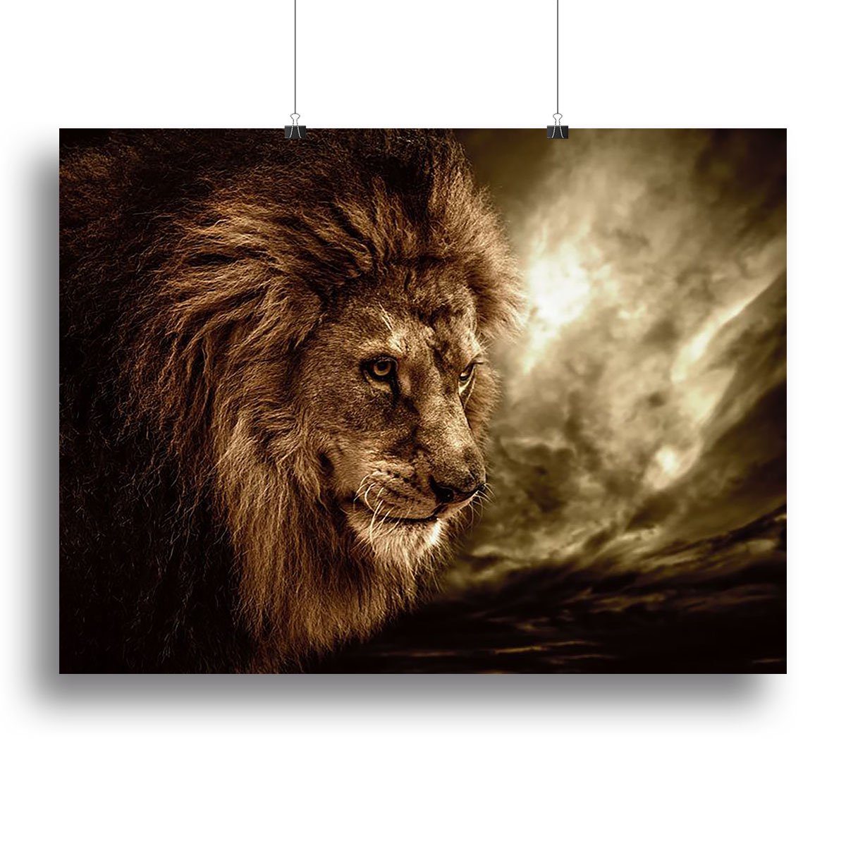 Lion against stormy sky Canvas Print or Poster