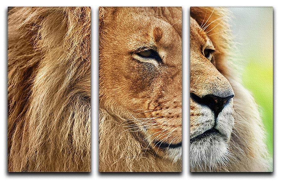 Lion portrait on savanna 3 Split Panel Canvas Print - Canvas Art Rocks - 1