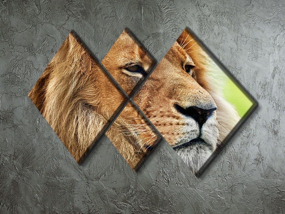 Lion portrait on savanna 4 Square Multi Panel Canvas - Canvas Art Rocks - 2