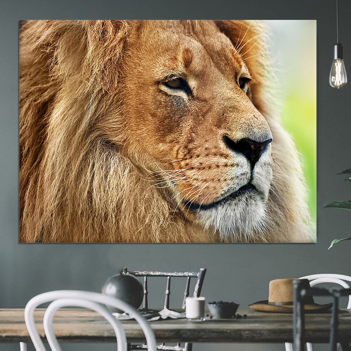 Lion portrait on savanna Canvas Print or Poster