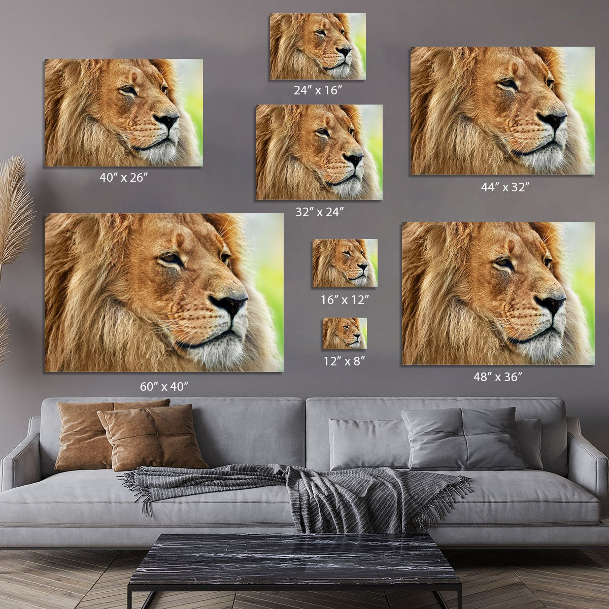 Lion portrait on savanna Canvas Print or Poster