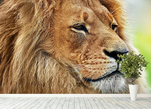 Lion portrait on savanna Wall Mural Wallpaper - Canvas Art Rocks - 4