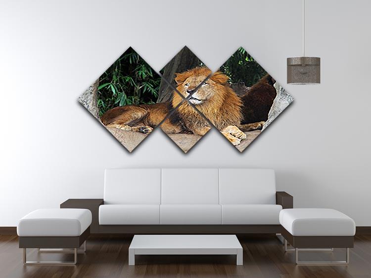 Lion resting on a tree 4 Square Multi Panel Canvas - Canvas Art Rocks - 3