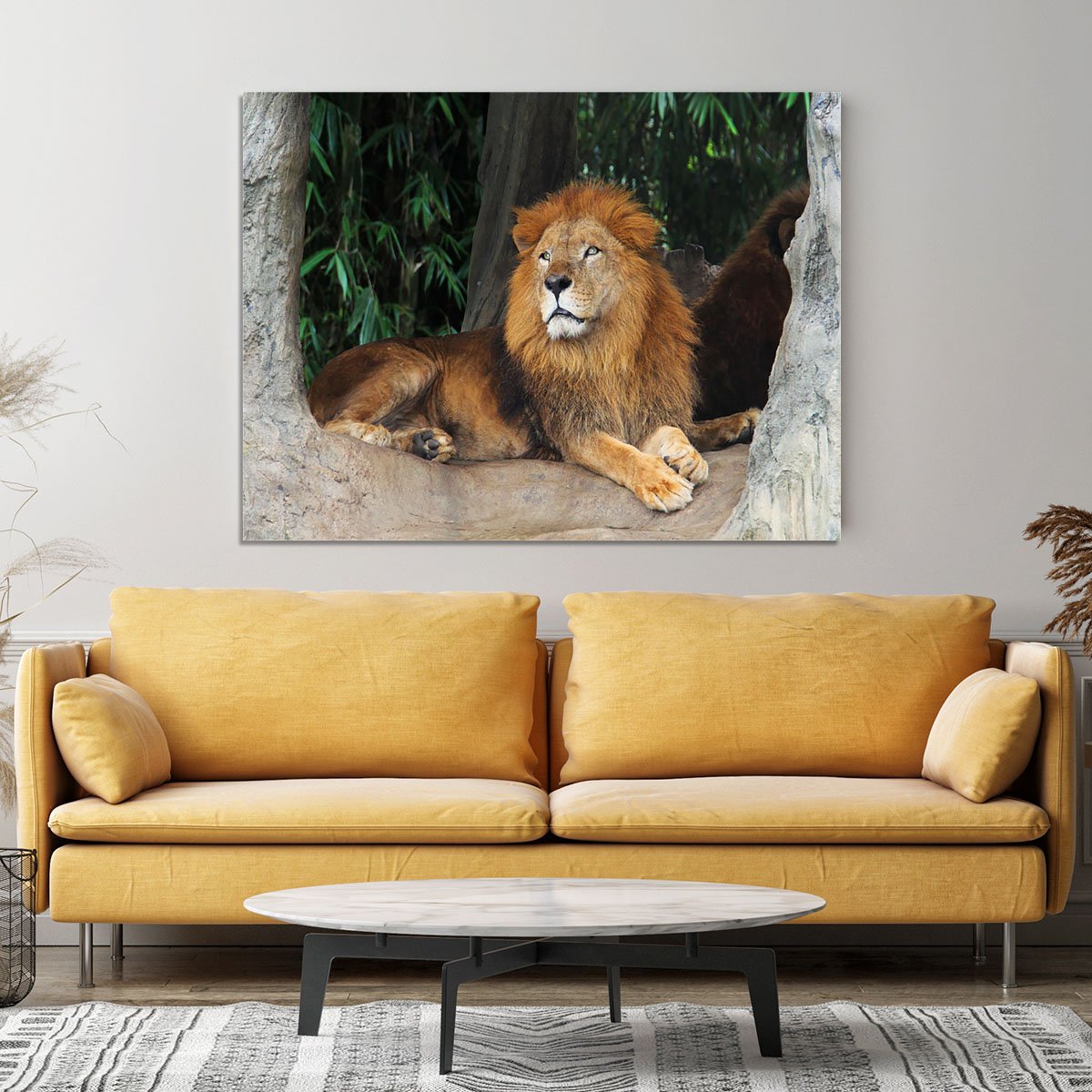 Lion resting on a tree Canvas Print or Poster