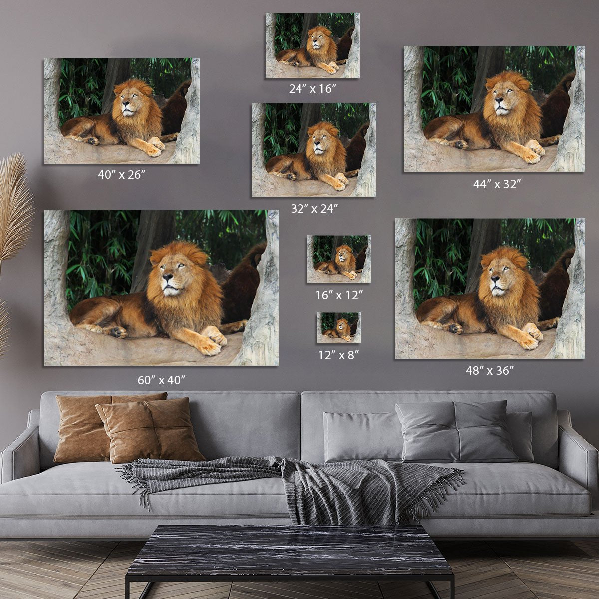 Lion resting on a tree Canvas Print or Poster