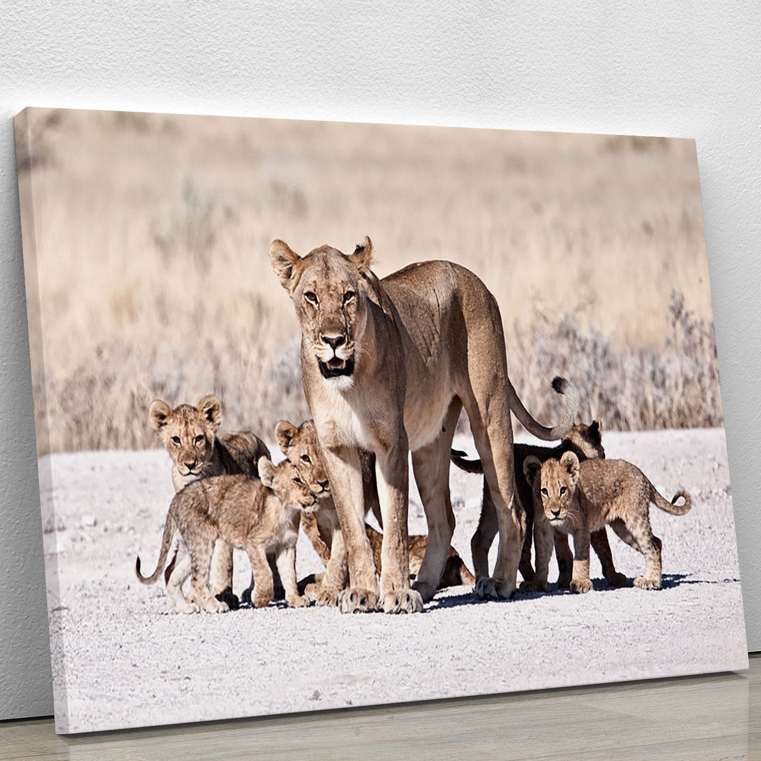 Lioness and cubs Canvas Print or Poster