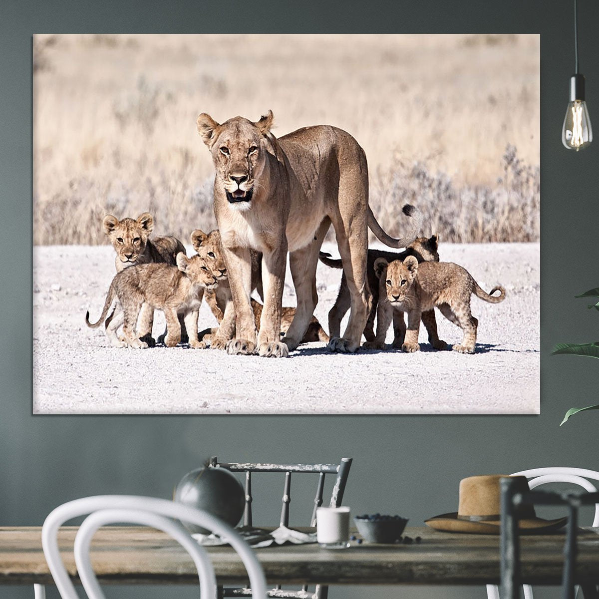 Lioness and cubs Canvas Print or Poster