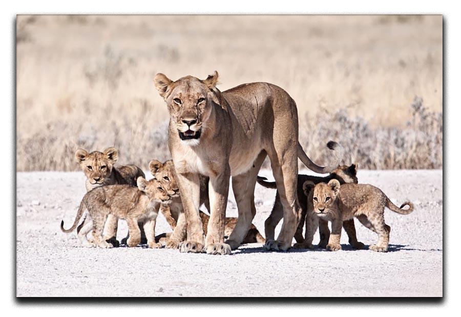 Lioness and cubs Canvas Print or Poster - Canvas Art Rocks - 1