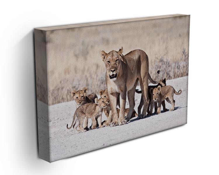 Lioness and cubs Canvas Print or Poster - Canvas Art Rocks - 3