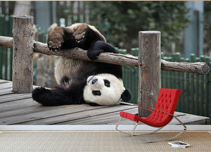Little Panda Wall Mural Wallpaper - Canvas Art Rocks - 2