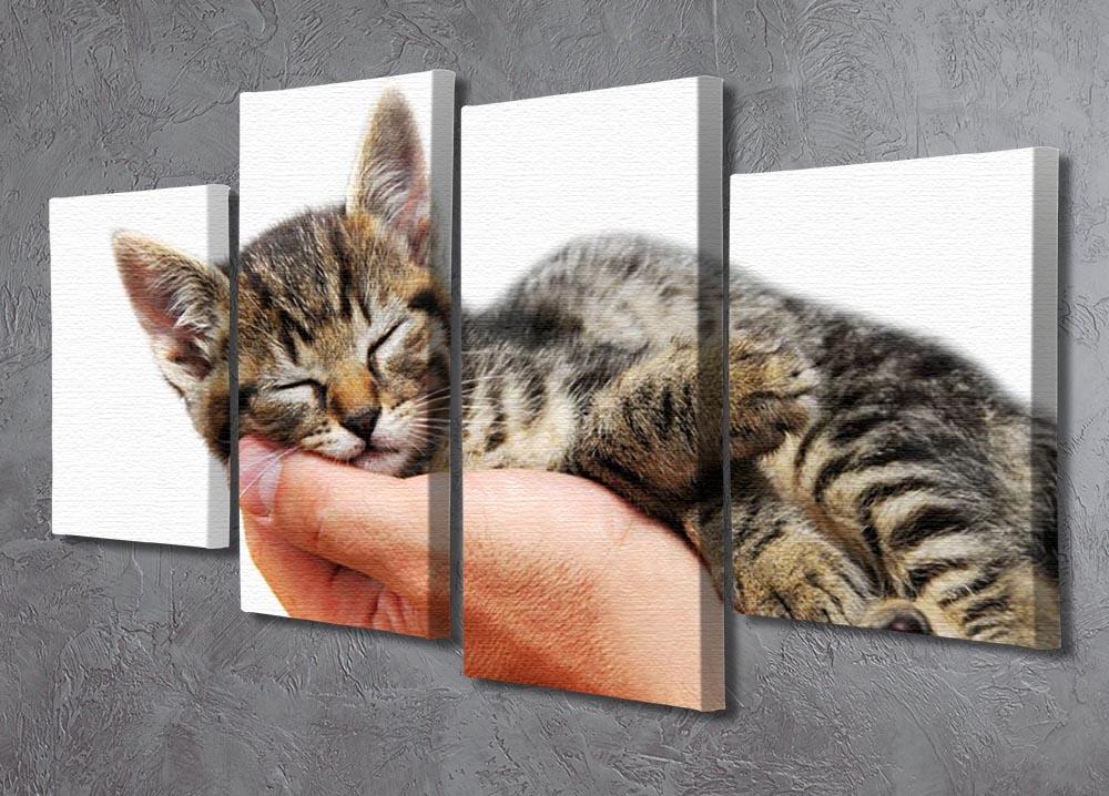 Little baby cat sleeping in male arms 4 Split Panel Canvas - Canvas Art Rocks - 2