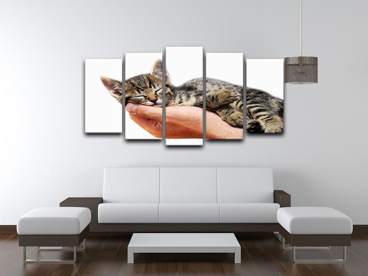 Little baby cat sleeping in male arms 5 Split Panel Canvas - Canvas Art Rocks - 3