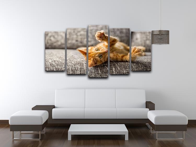 Little cat playing on the bed 5 Split Panel Canvas - Canvas Art Rocks - 3