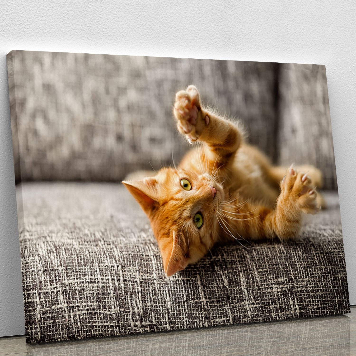 Little cat playing on the bed Canvas Print or Poster