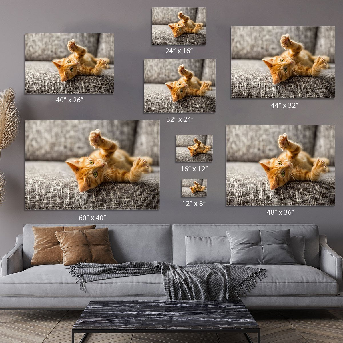 Little cat playing on the bed Canvas Print or Poster
