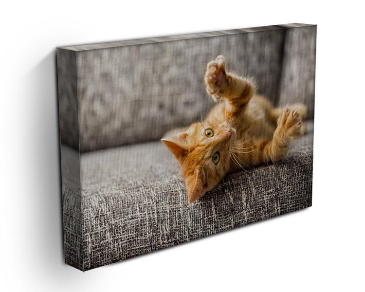 Little cat playing on the bed Canvas Print or Poster - Canvas Art Rocks - 3