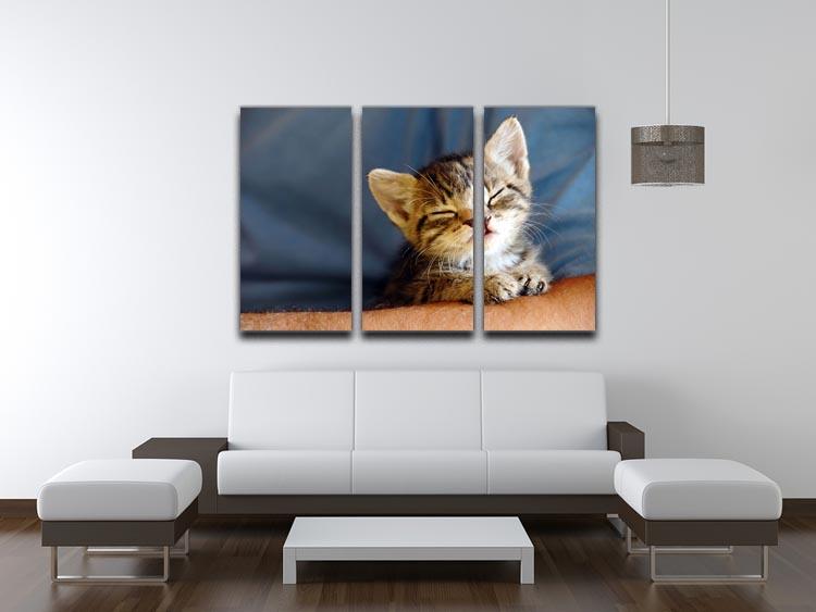 Little cat sleeping on human hand closeup 3 Split Panel Canvas Print - Canvas Art Rocks - 3