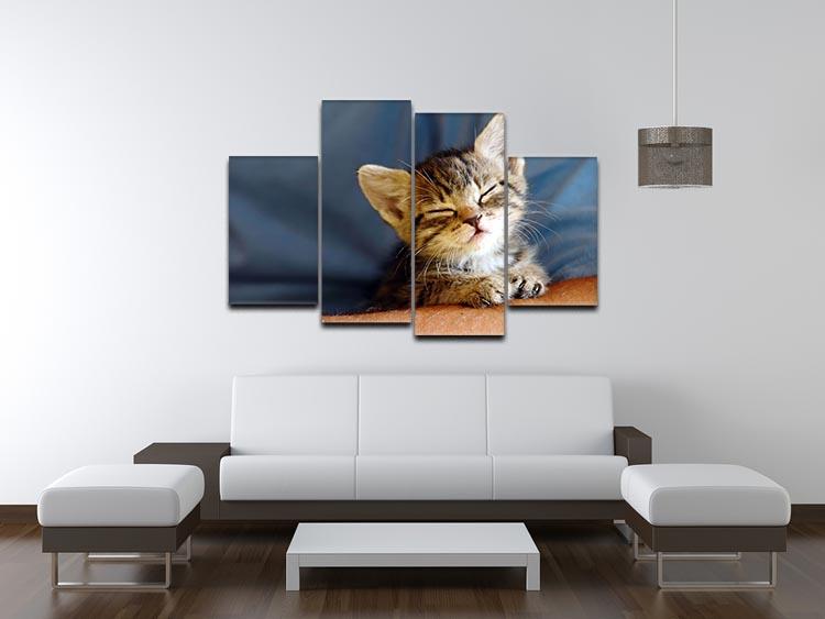 Little cat sleeping on human hand closeup 4 Split Panel Canvas - Canvas Art Rocks - 3