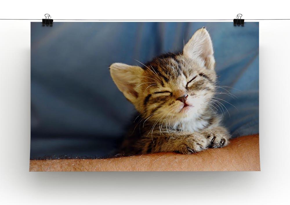 Little cat sleeping on human hand closeup Canvas Print or Poster - Canvas Art Rocks - 2