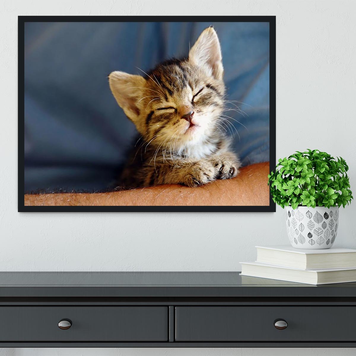 Little cat sleeping on human hand closeup Framed Print - Canvas Art Rocks - 2