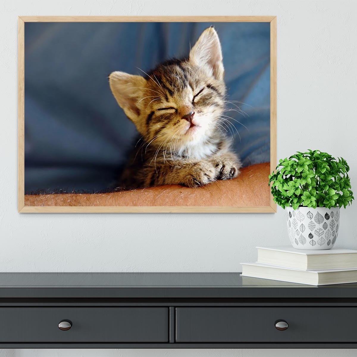 Little cat sleeping on human hand closeup Framed Print - Canvas Art Rocks - 4