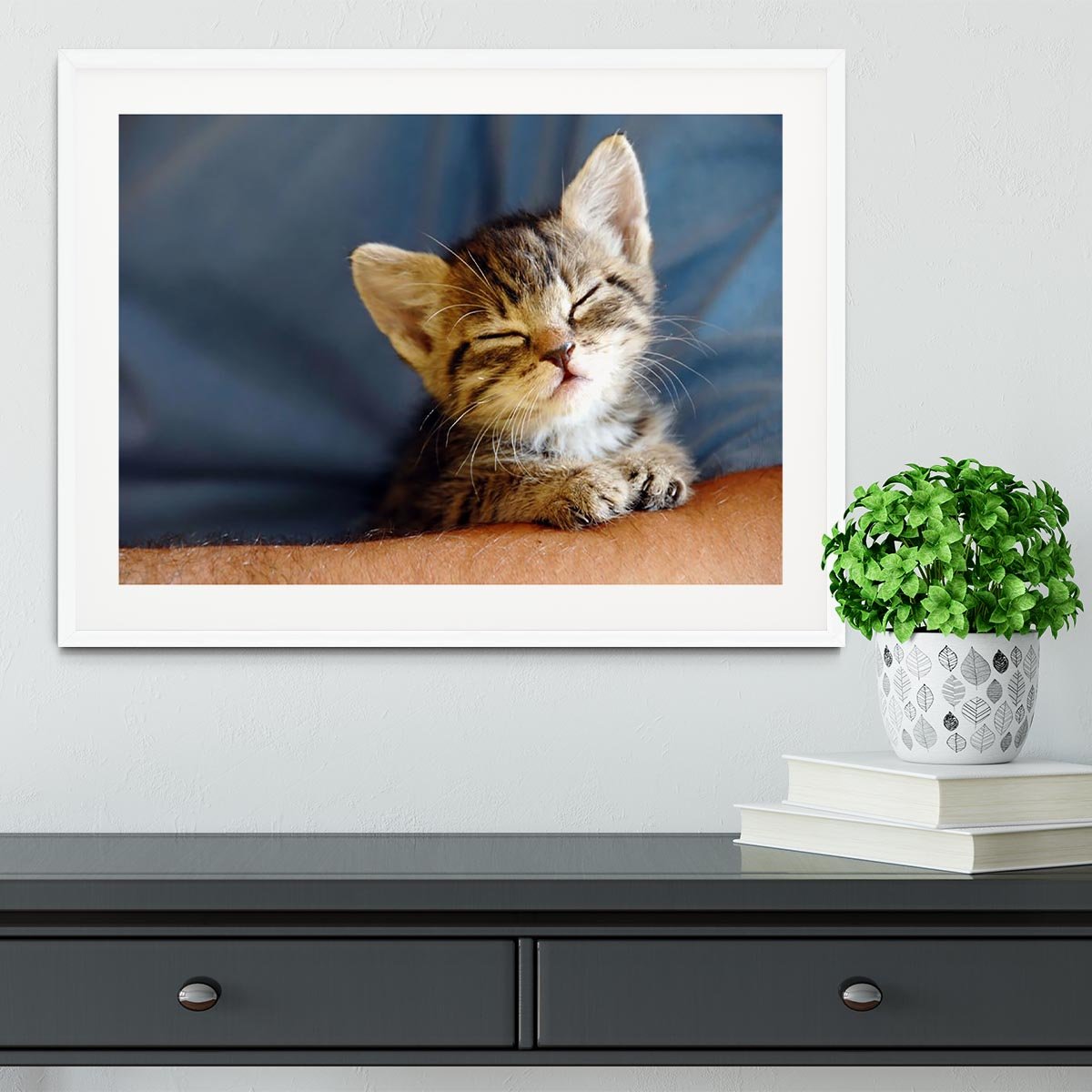 Little cat sleeping on human hand closeup Framed Print - Canvas Art Rocks - 5